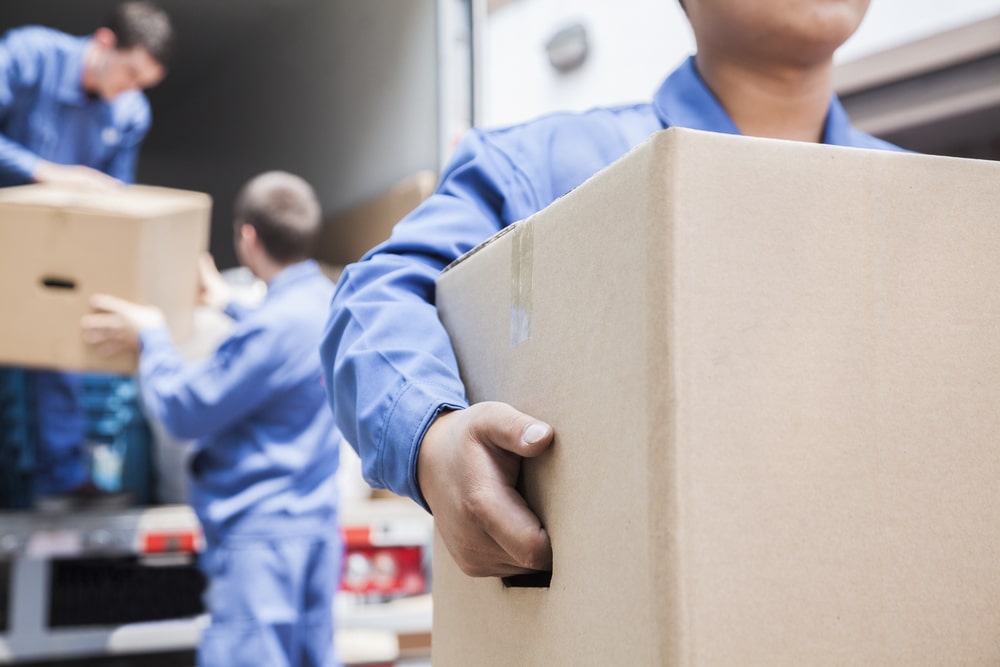 junk removal pasadena md